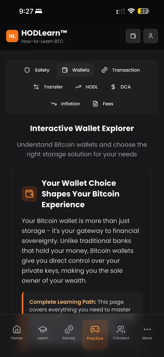 The HODLearn Practice tab: simulator topics and the Interactive Wallet Explorer